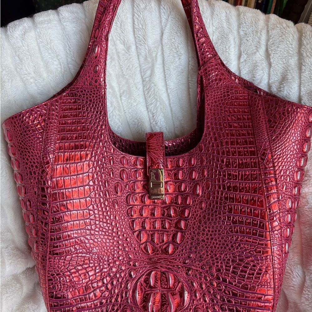 Brahmin-large Carla